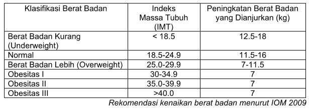 Obesitas Selama Hamil