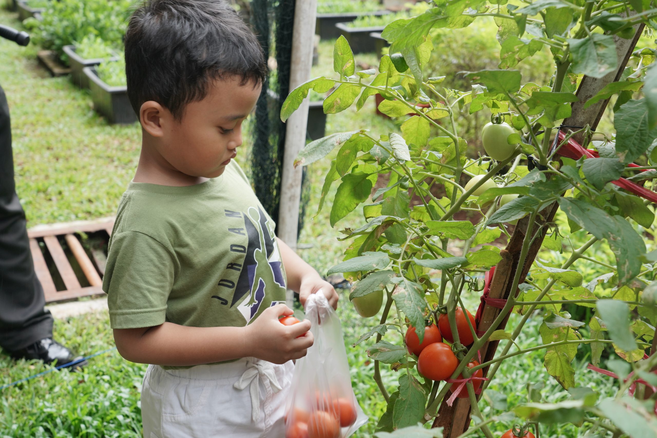 Berkebun Ceria: Seru, Asik dan Bahagia!