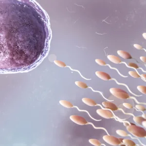 FERTILISASI IN VITRO (IVF): APA YANG HARUS ANDA TAHU?