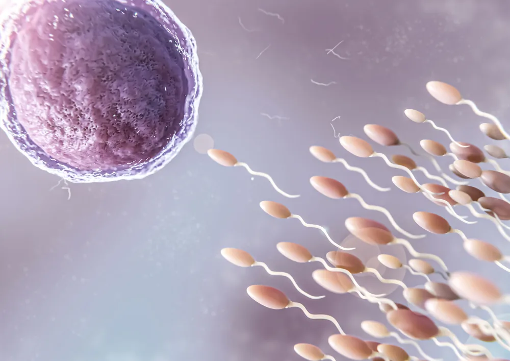 FERTILISASI IN VITRO (IVF): APA YANG HARUS ANDA TAHU?