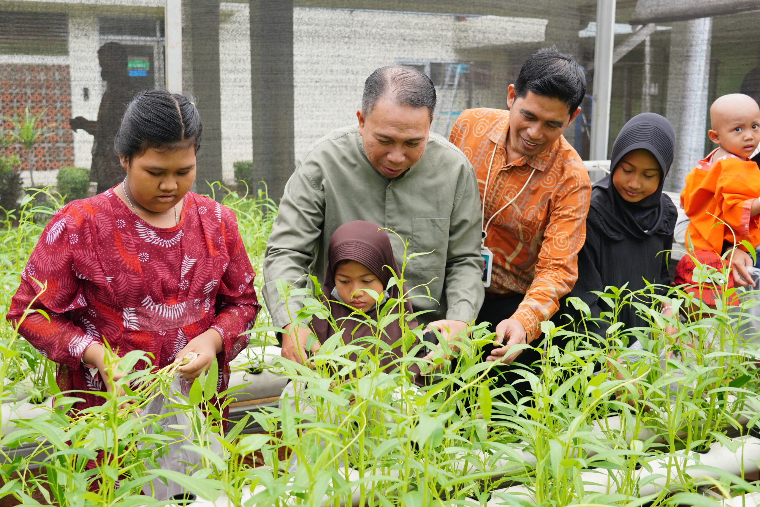 Berkebun Ceria: Serunya Petik Kangkung