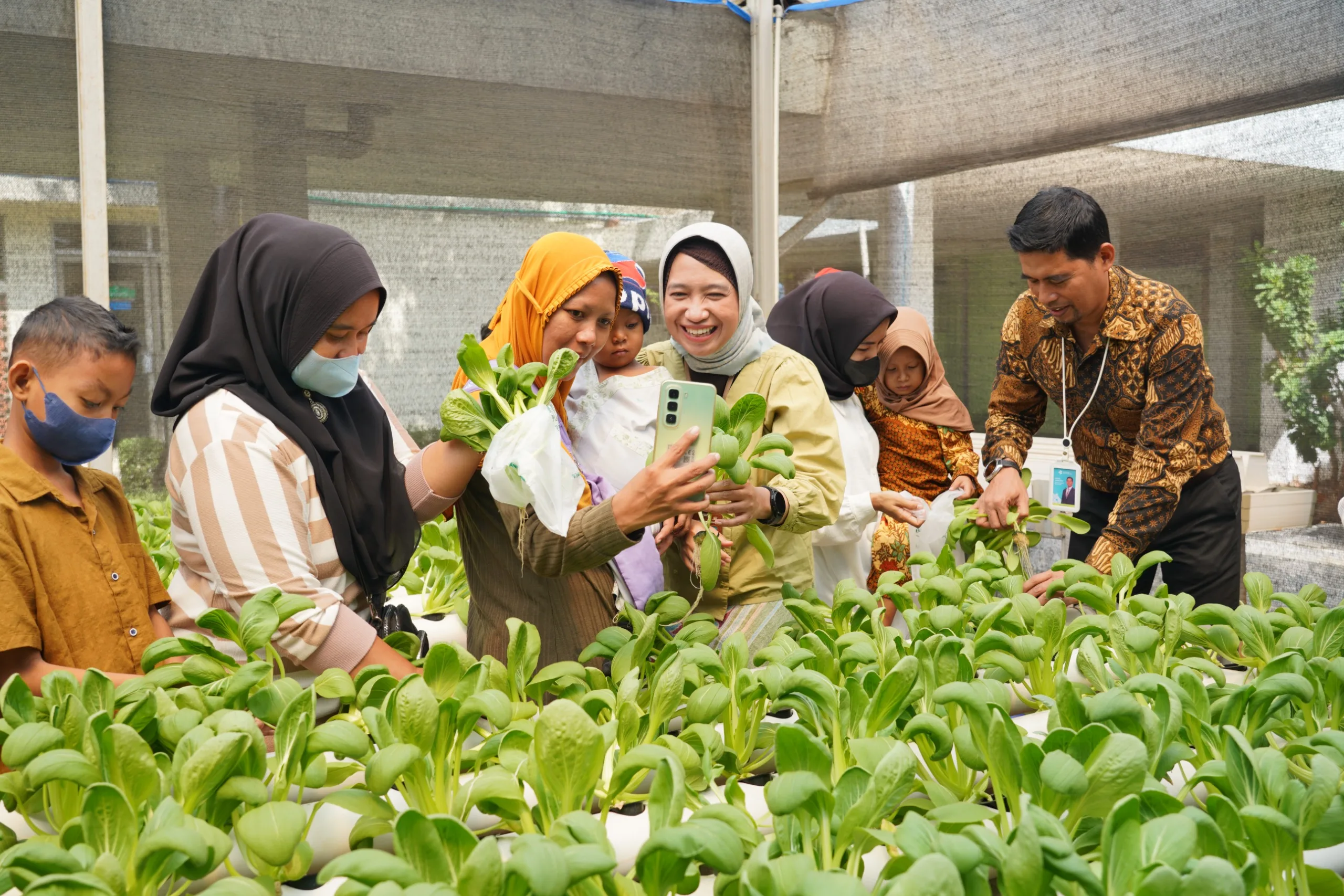 BERKEBUN CERIA: SERUNYA PANEN PAKCOY